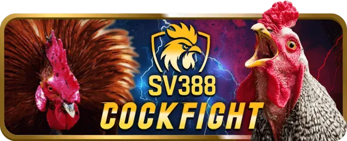 Hoàn trả hàng tuần cho các cược thể thao tại lucky6868